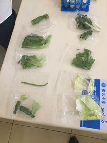 樂從中學(xué)食堂食用農(nóng)產(chǎn)品快檢信息公布，保障師生飲食安全